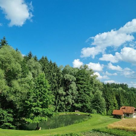 Holiday house apartment Voukov mlin Smarje pri Jelsah Buitenkant foto