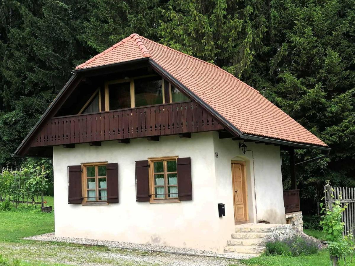 Holiday house apartment Voukov mlin Smarje pri Jelsah Buitenkant foto
