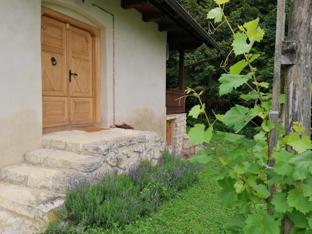 Holiday house apartment Voukov mlin Smarje pri Jelsah Buitenkant foto