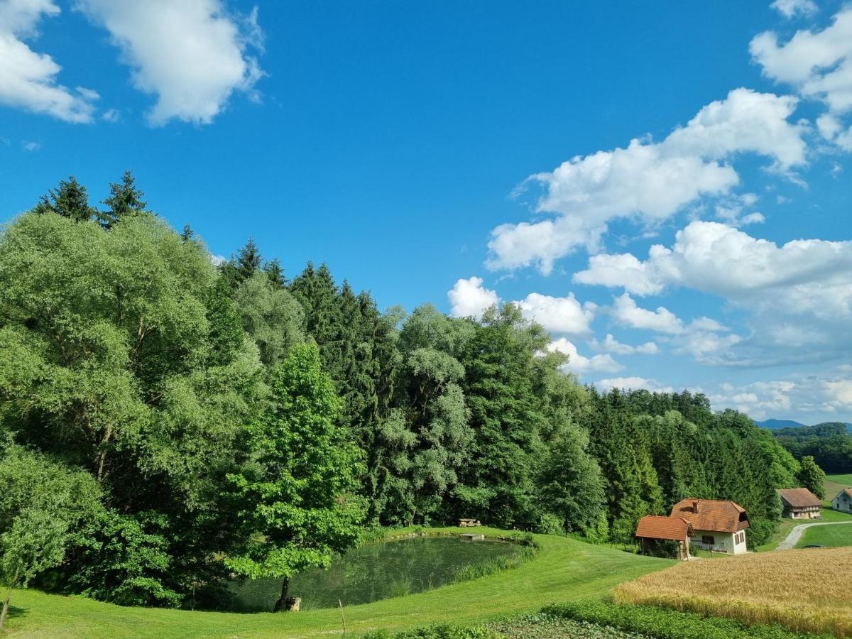 Holiday house apartment Voukov mlin Smarje pri Jelsah Buitenkant foto